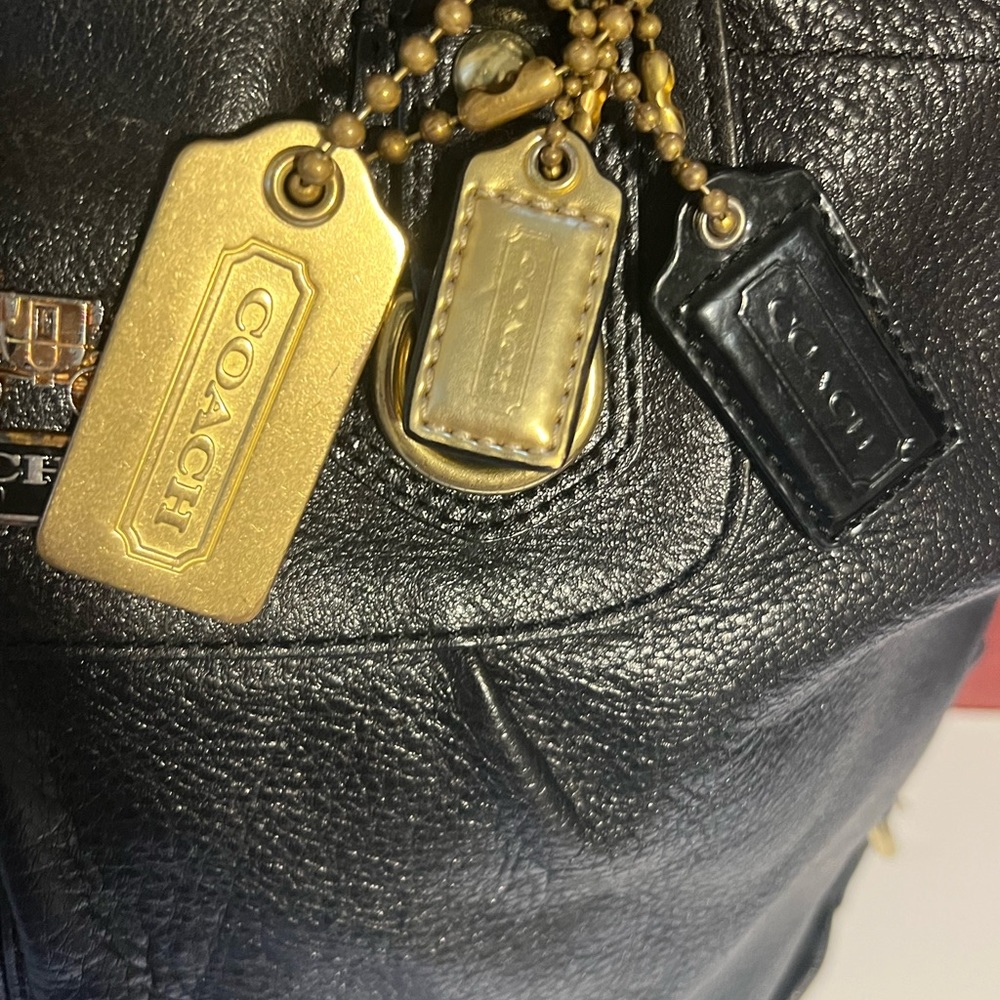 Beautiful Coach - Picture 3 of 15